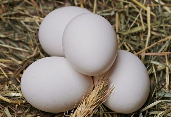 Η δίαιτα αυγών περιλαμβάνει την κατανάλωση αυγών κοτόπουλου κάθε μέρα. 